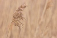 010618_0810_0009_lsls.jpg