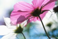 010605_0790_0054_nsls.jpg