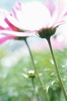 010605_0790_0048_nsls.jpg