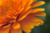 010605_0790_0036_nsls.jpg