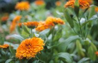 010605_0790_0035_nsls.jpg