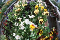 010605_0790_0020_nsls.jpg