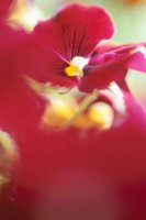 010605_0790_0010_nsls.jpg