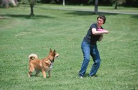 010601_0784_0009_nsls.jpg