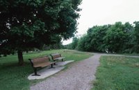 010529_0776_0029_nsls.jpg