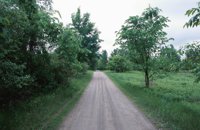 010529_0776_0012_nsls.jpg