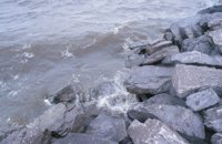 010529_0776_0008_nsls.jpg