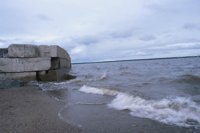 010529_0776_0002_nsls.jpg