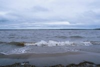 010529_0776_0001_nsls.jpg