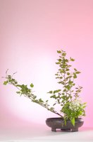 010517_0763_0013_lsls.jpg