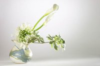 010517_0763_0010_lsls.jpg