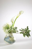 010517_0763_0009_lsls.jpg