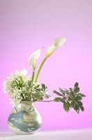 010517_0763_0008_lsls.jpg