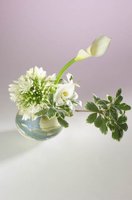 010517_0763_0007_lsls.jpg