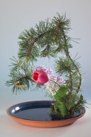 010517_0763_0006_lsls.jpg