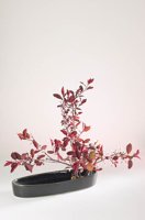 010517_0763_0005_lsls.jpg