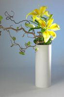 010517_0763_0002_lsls.jpg