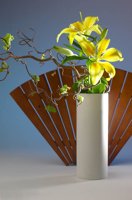 010517_0763_0001_lsls.jpg