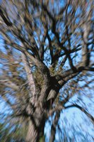 010515_0757_0053_nsls.jpg