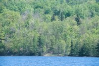 010515_0757_0048_nsls.jpg
