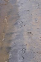 010515_0757_0027_nsls.jpg