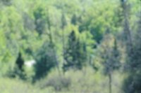 010515_0757_0023_nsls.jpg