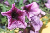 010510_0753_0107_nsls.jpg