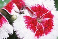 010510_0753_0095_nsls.jpg