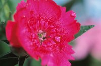 010510_0753_0093_nsls.jpg