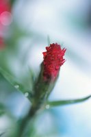 010510_0753_0087_nsls.jpg