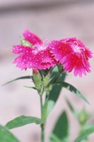 010510_0753_0085_nsls.jpg