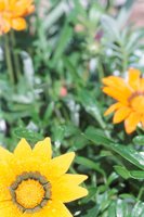 010510_0753_0082_nsls.jpg