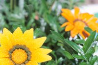 010510_0753_0081_nsls.jpg