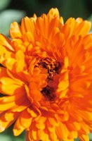 010510_0753_0076_nsls.jpg