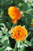 010510_0753_0075_nsls.jpg