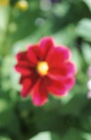 010510_0753_0063_nsls.jpg