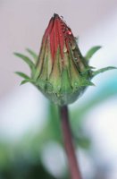 010510_0753_0053_nsls.jpg
