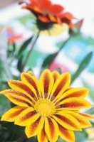 010510_0753_0052_nsls.jpg