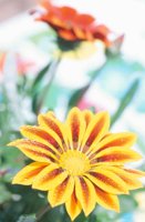010510_0753_0051_nsls.jpg