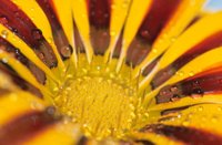 010510_0753_0050_nsls.jpg