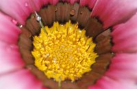 010510_0753_0042_nsls.jpg