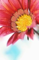 010510_0753_0025_nsls.jpg
