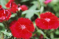010510_0753_0007_nsls.jpg