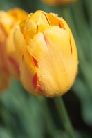 010508_0745_0062_nsls.jpg