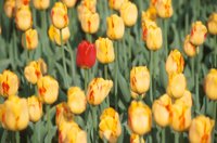 010508_0745_0061_nsls.jpg