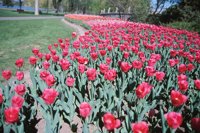 010508_0745_0058_nsls.jpg