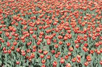 010508_0745_0043_nsls.jpg