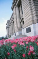 010508_0745_0039_nsls.jpg