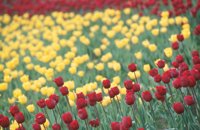 010508_0745_0036_nsls.jpg