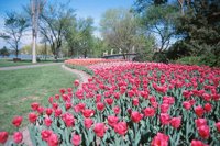 010508_0745_0023_nsls.jpg